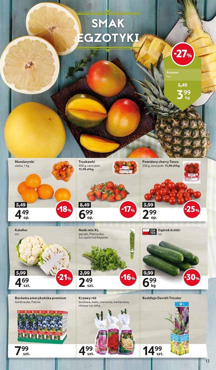 Gazetka promocyjna Tesco str. 13
