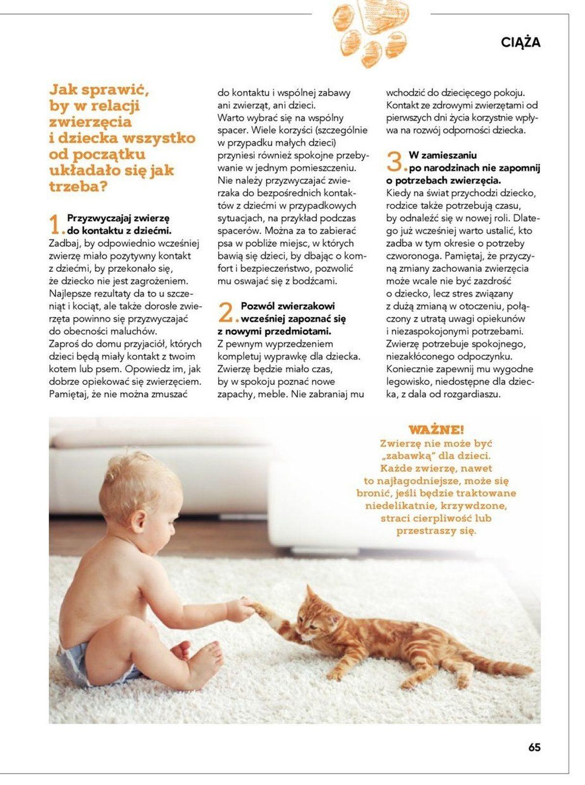 Gazetka promocyjna Tesco str. 65