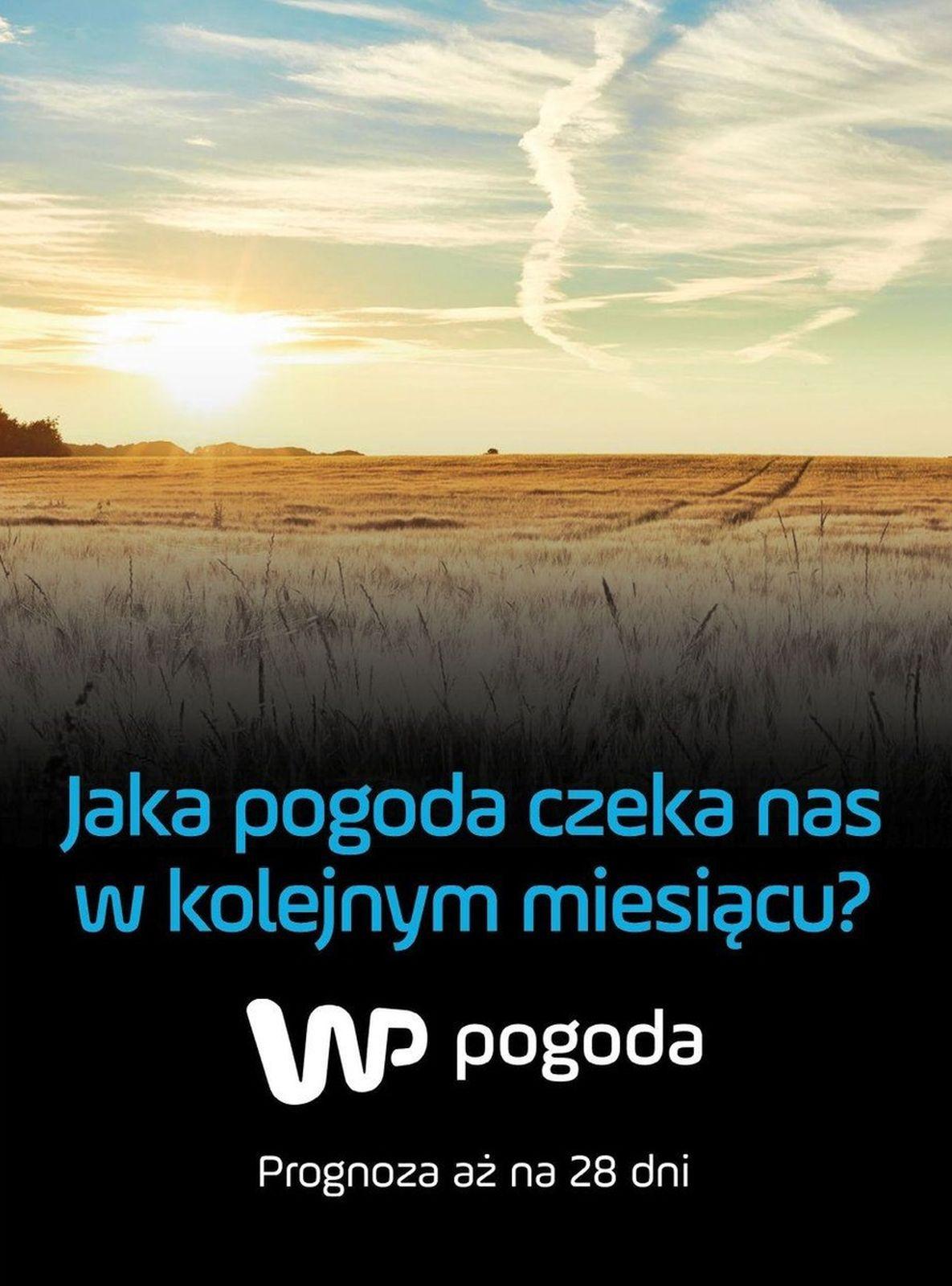 Gazetka promocyjna Tesco str. 73