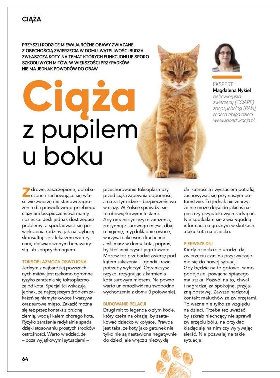 Gazetka promocyjna Tesco str. 64